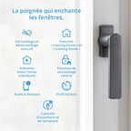  Poignée De Fenêtre SIEGENIA Intelligente Gén. 2 Anthracite De Sécurité – Compatible Avec Matter Pour L'intégration Dans Les Réseaux Smart Home Avec Surveillance D’état