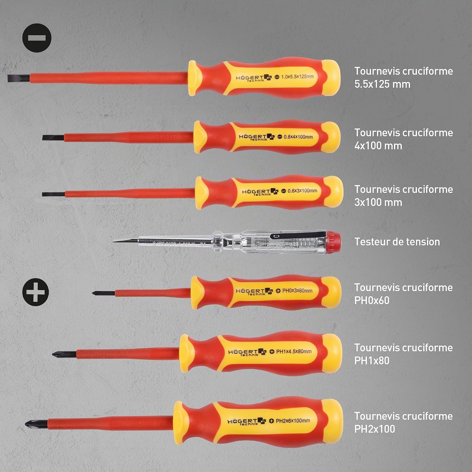  HÖGERT TECHNIK Lot De 12 Outils électriciens Isolés 1000 V Tournevis Manuel, Tournevis Plat Et Cruciforme, Pinces, Test De Tension, Coffret En Plastique
